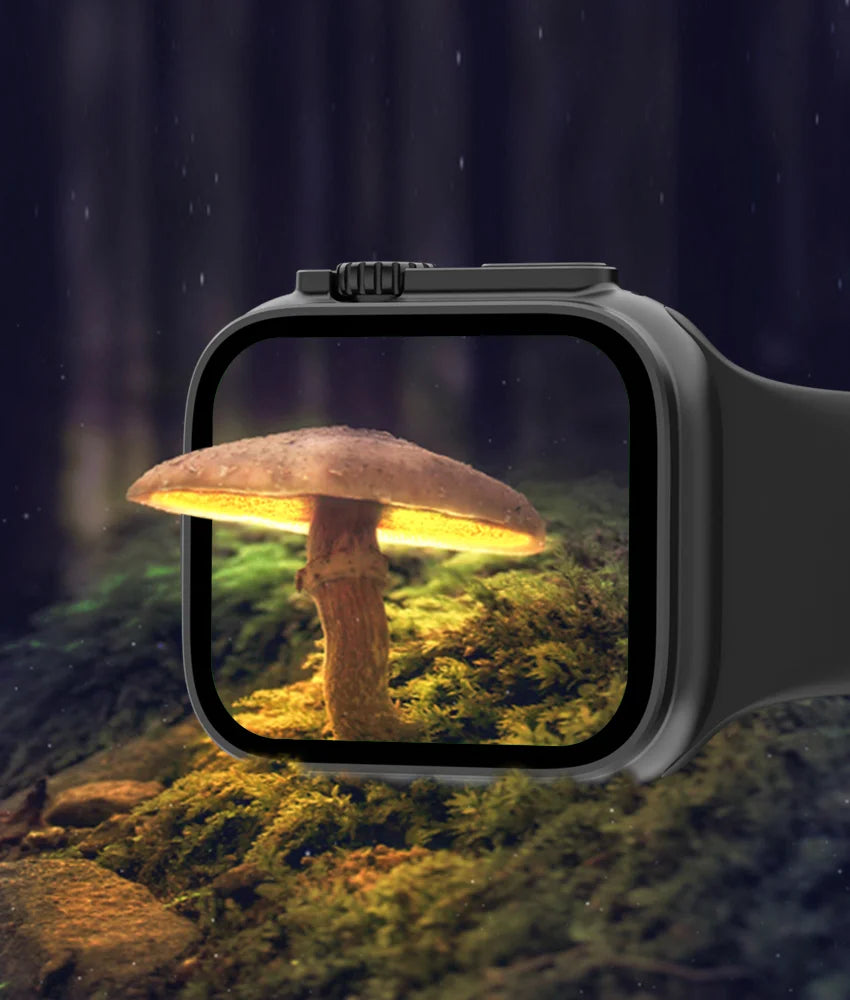 hammer Watch